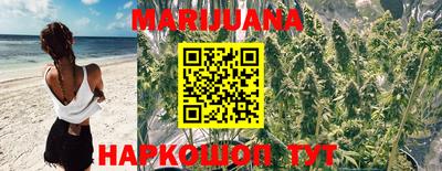дмт Кинель