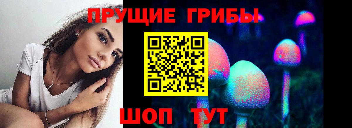 Псилоцибиновые грибы Psilocybe  Вход с VPN  Красный Сулин  Галлюциногенные грибы Psilocybe 
